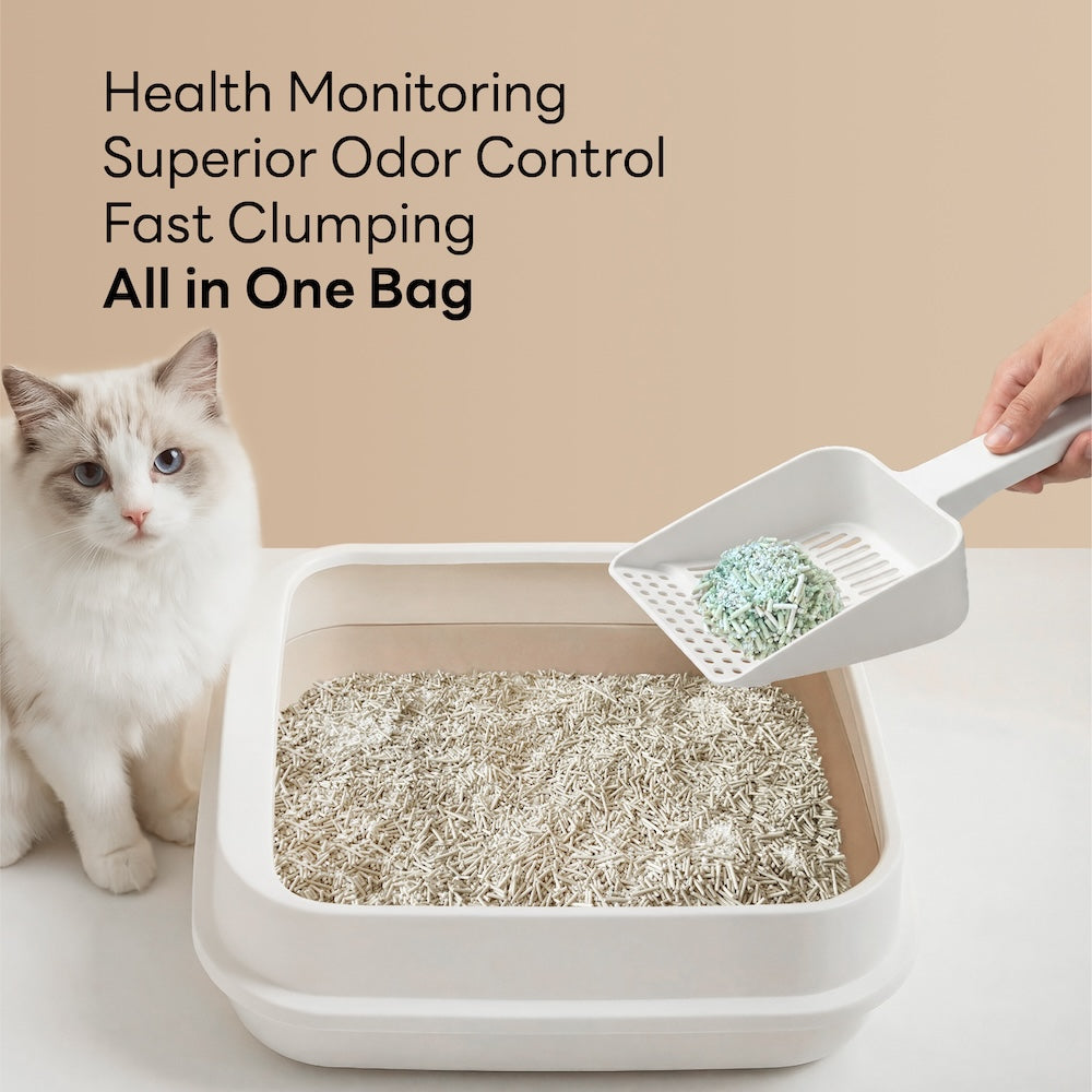 Purrify health monitoring cat litter with fast clumping and odour control