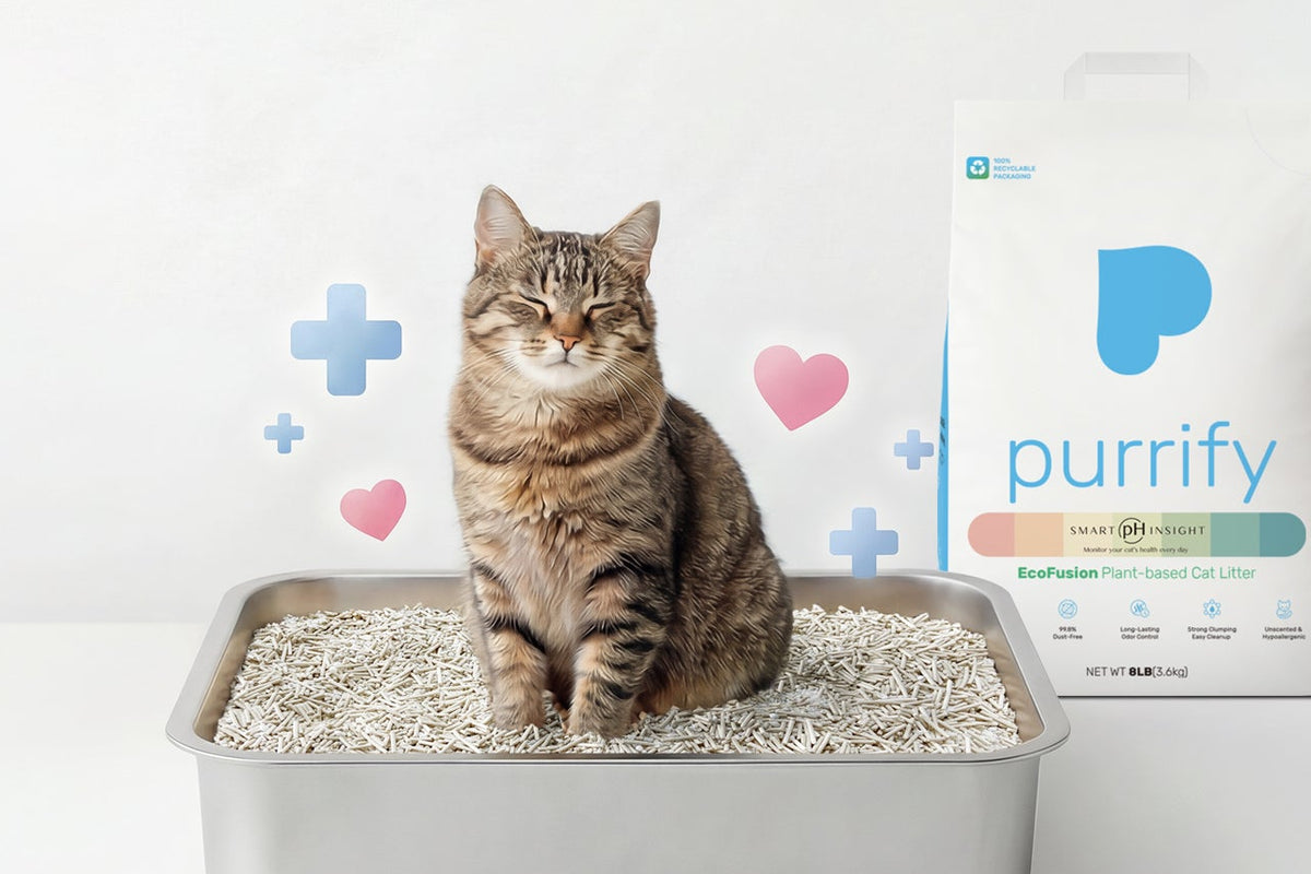 Purrify smart ph insght – purrify smart cat litter